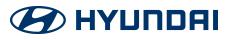 Sanvi Hyundai