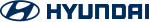 Sanvi Hyundai